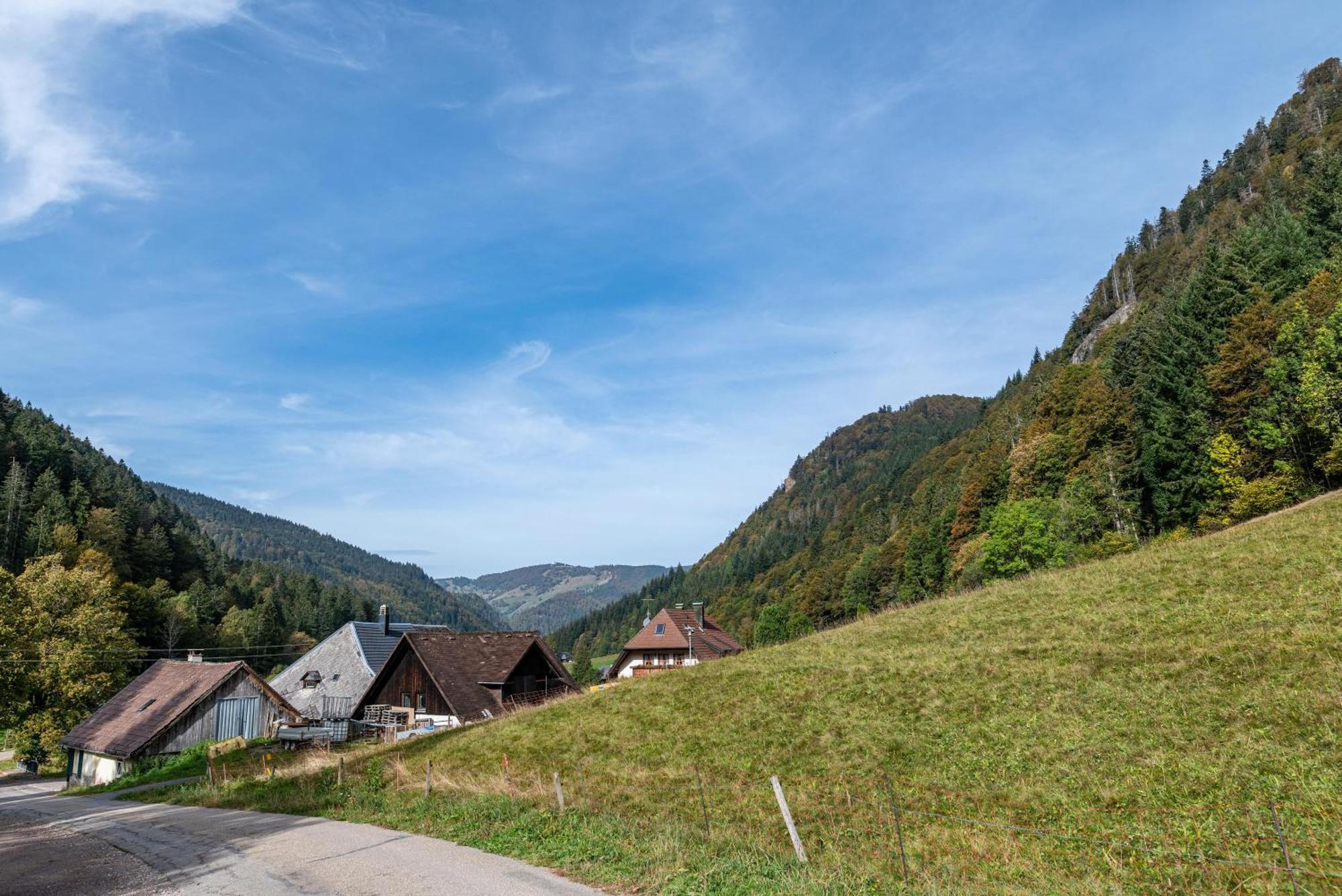 Gasthaus Zur Linde- Napf Oberried  Exterior photo